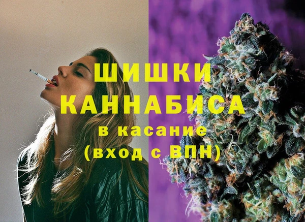 сатива Кинешма