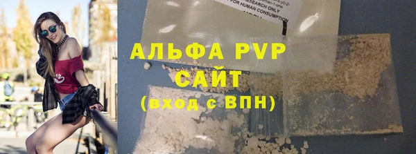сатива Кинешма