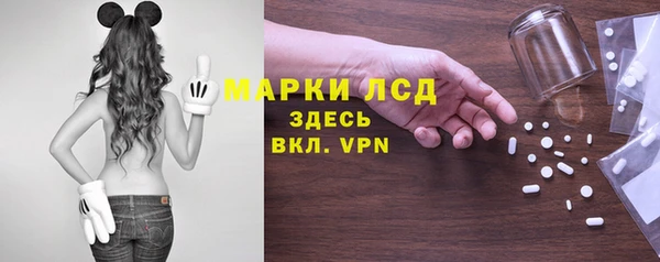 сатива Кинешма