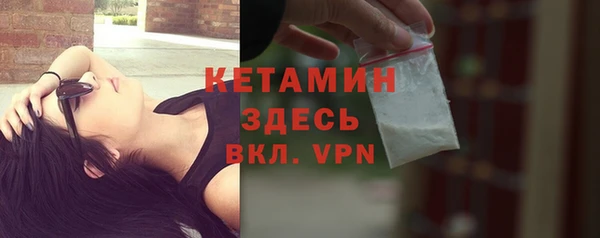 сатива Кинешма