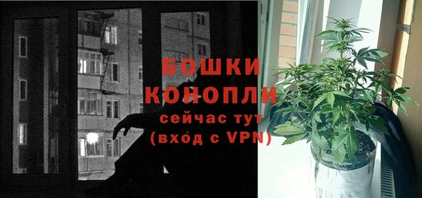 сатива Кинешма