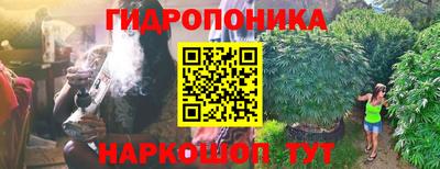 ПСИЛОЦИБИНОВЫЕ ГРИБЫ Балахна