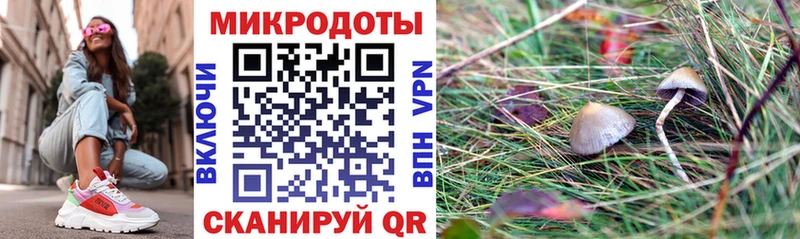 hydra ссылка  Жуковский  Псилоцибиновые грибы Psilocybe 